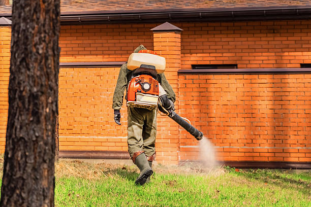 Trusted Rodent Control service in Eden Isle, LA - Nex Pest Control